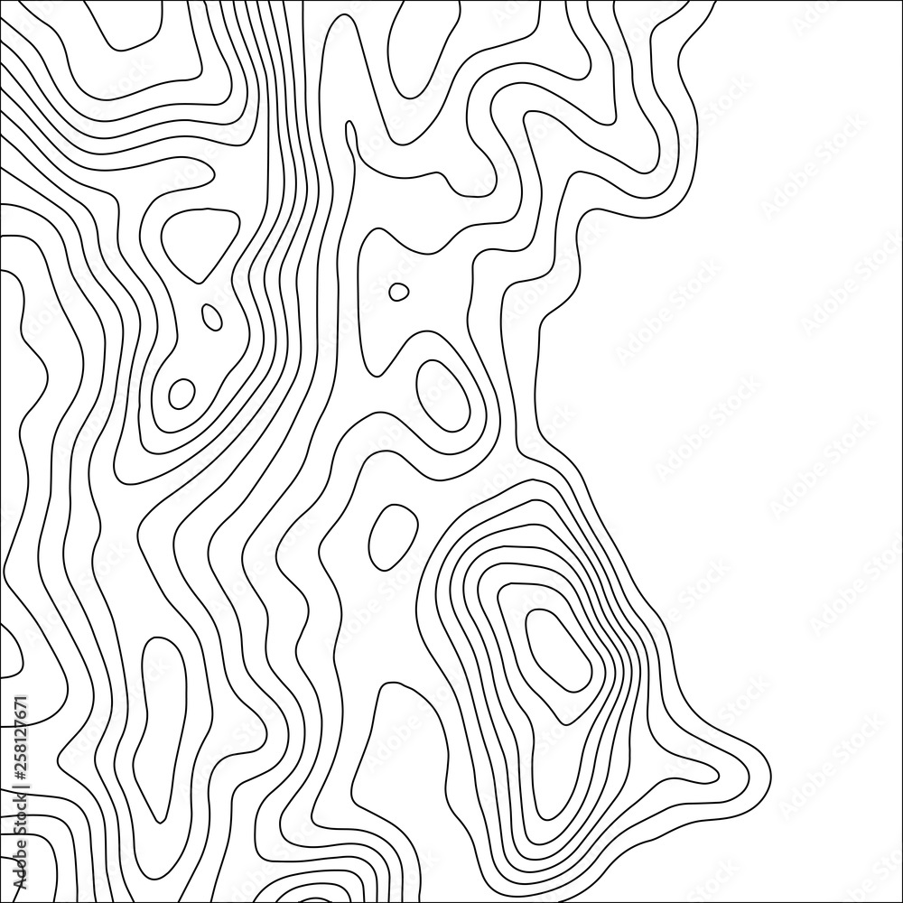 Topographic map background. Geographic World Topography map grid abstract vector illustration. Topo map with elevation.