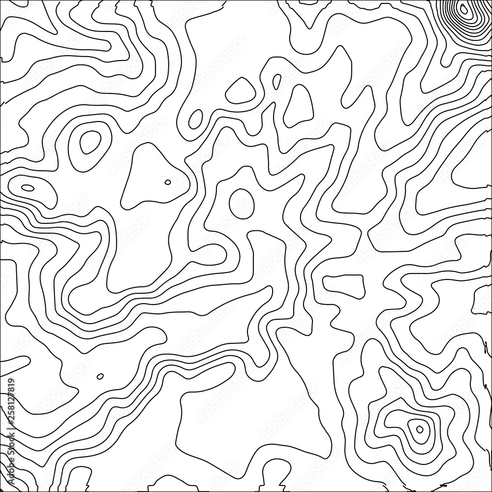 Topographic map background. Geographic World Topography map grid abstract vector illustration. Topo map with elevation.