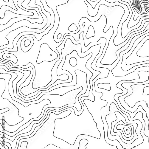 Topographic map background. Geographic World Topography map grid abstract vector illustration. Topo map with elevation.