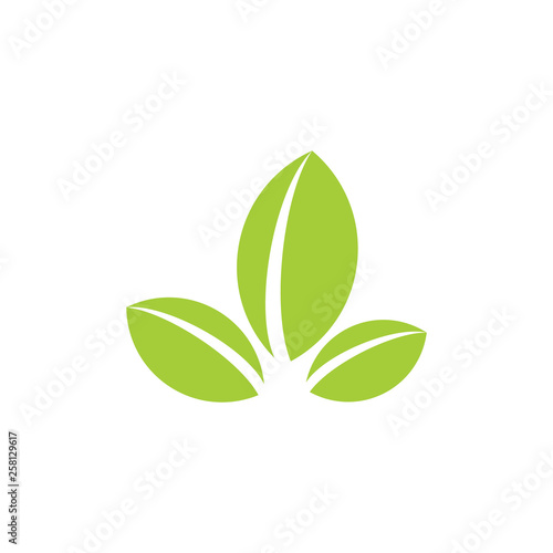 simple geometric three leaf natural symbol logo vector