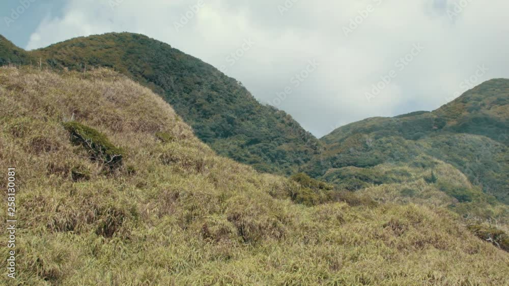 View of mountainous hills covered with grass foliage View of mountainous hills covered with grass foliage