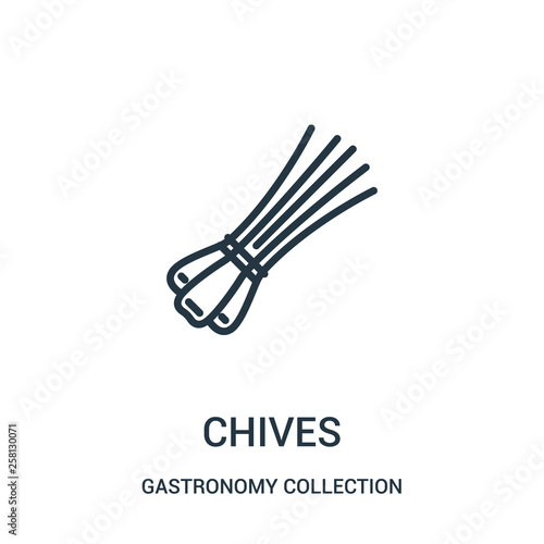 chives icon vector from gastronomy collection collection. Thin line chives outline icon vector illustration.