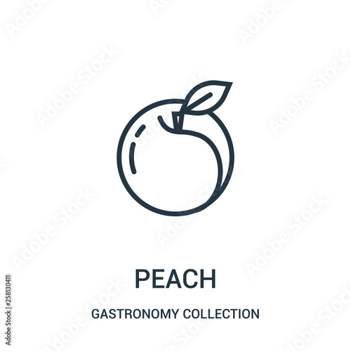 peach icon vector from gastronomy collection collection. Thin line peach outline icon vector illustration.