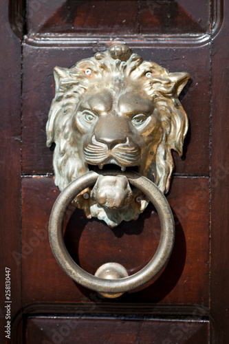 Ancient italian lion shaped door knocker.