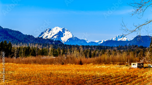 Mount Robie Reid on the left and Mount Judge Howay on the right, viewed Sylvester Road over the Blueberry Fields near Mission, British Columbia, Canada under clear blue sky on a nice winter day