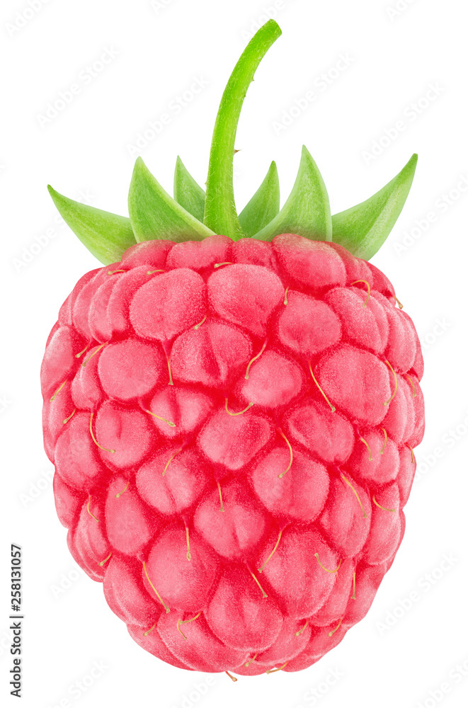 Ripe single raspberry isolated on a white. Ripe single raspberry isolated on a white.