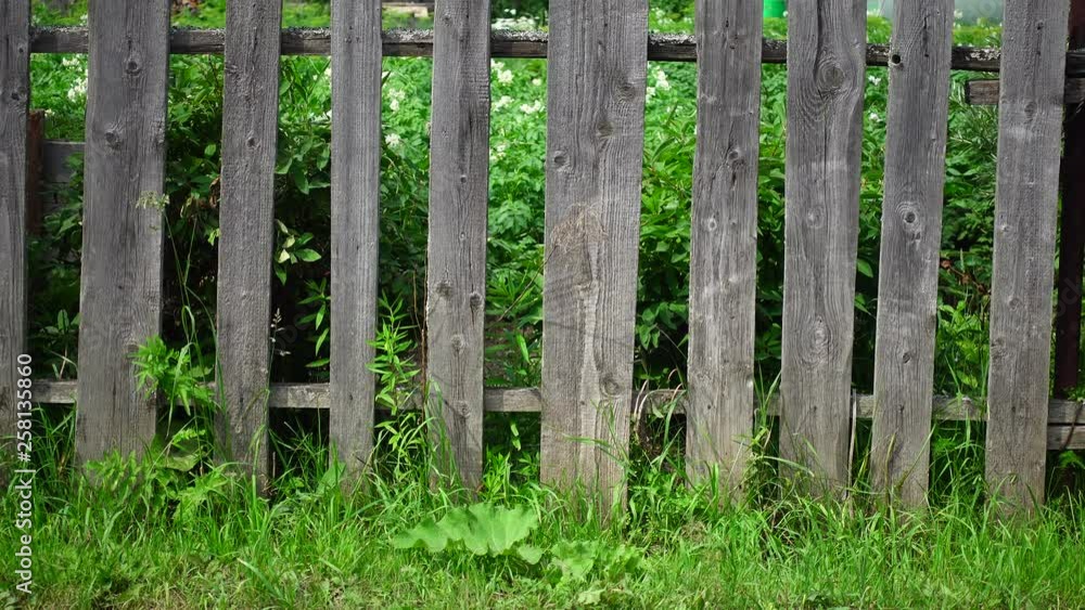 Old wooden fence as a backdrop or background. Old wooden fence as a backdrop or background.