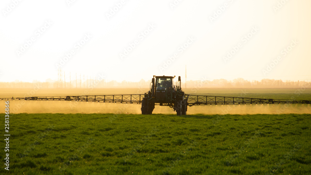 Tractor on the sunset background. Tractor with high wheels is making fertilizer on young wheat. Tractor on the sunset background. Tractor with high wheels is making fertilizer on young wheat.