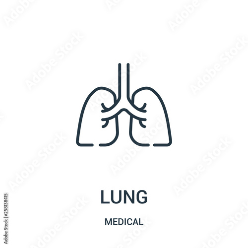 lung icon vector from medical collection. Thin line lung outline icon vector illustration.