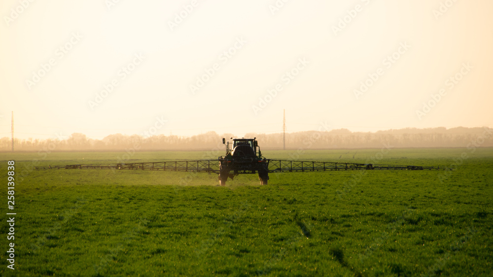 Tractor on the sunset background. Tractor with high wheels is making fertilizer on young wheat. Tractor on the sunset background. Tractor with high wheels is making fertilizer on young wheat.