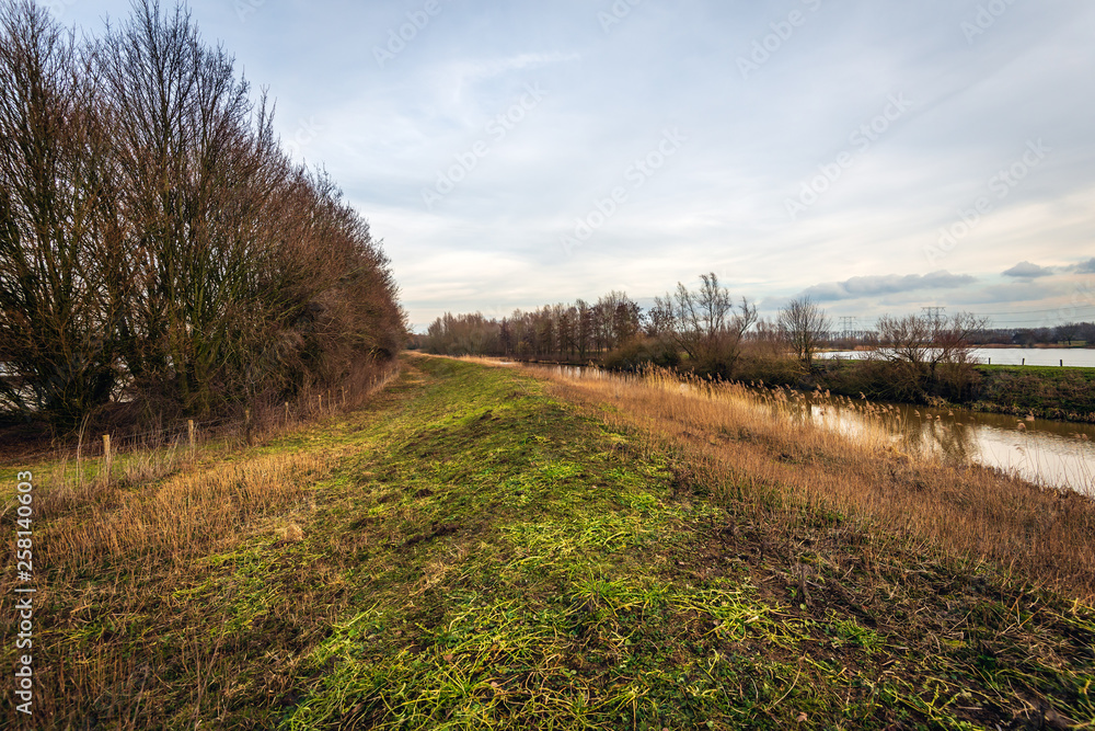 Naklejka premium Dike in a Dutch nature reserve