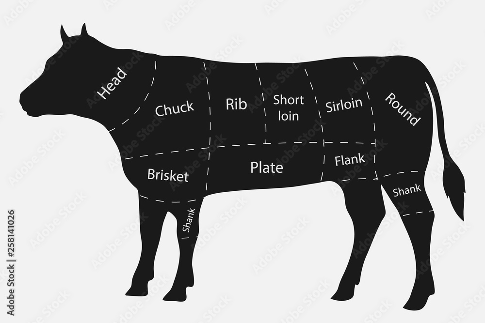 Cuts of beef Stock Vector Adobe Stock