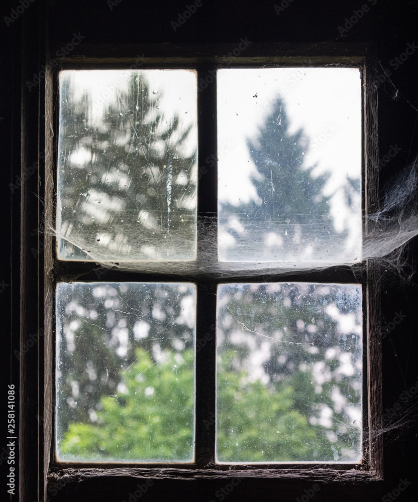 Fototapeta premium The window with cobwebs of an old farmhouse
