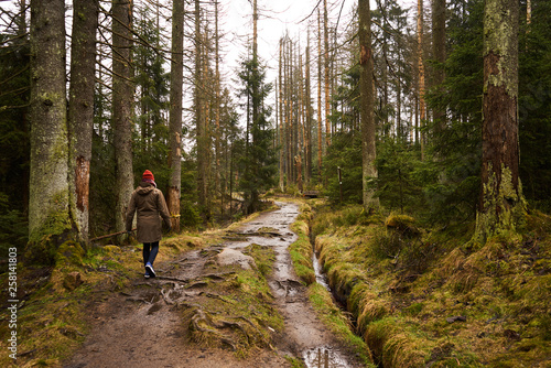 Herbstwanderung im Harz