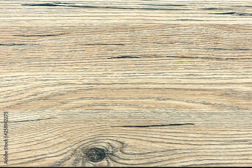 Wood texture. Background for design and decoration.