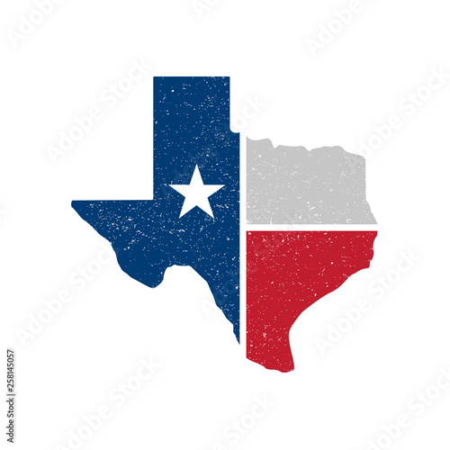 Distressed Texture Texas State Icon - Vector