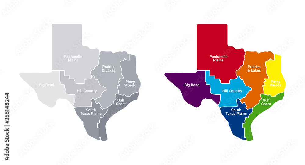Texas state map - Vector