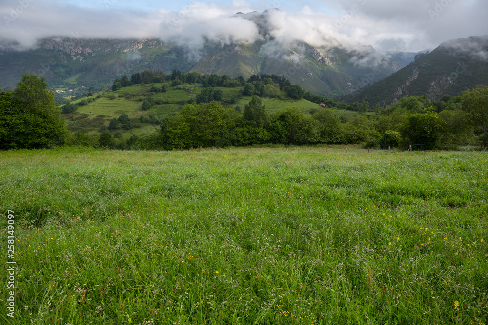 Picos de Europa Picos de Europa