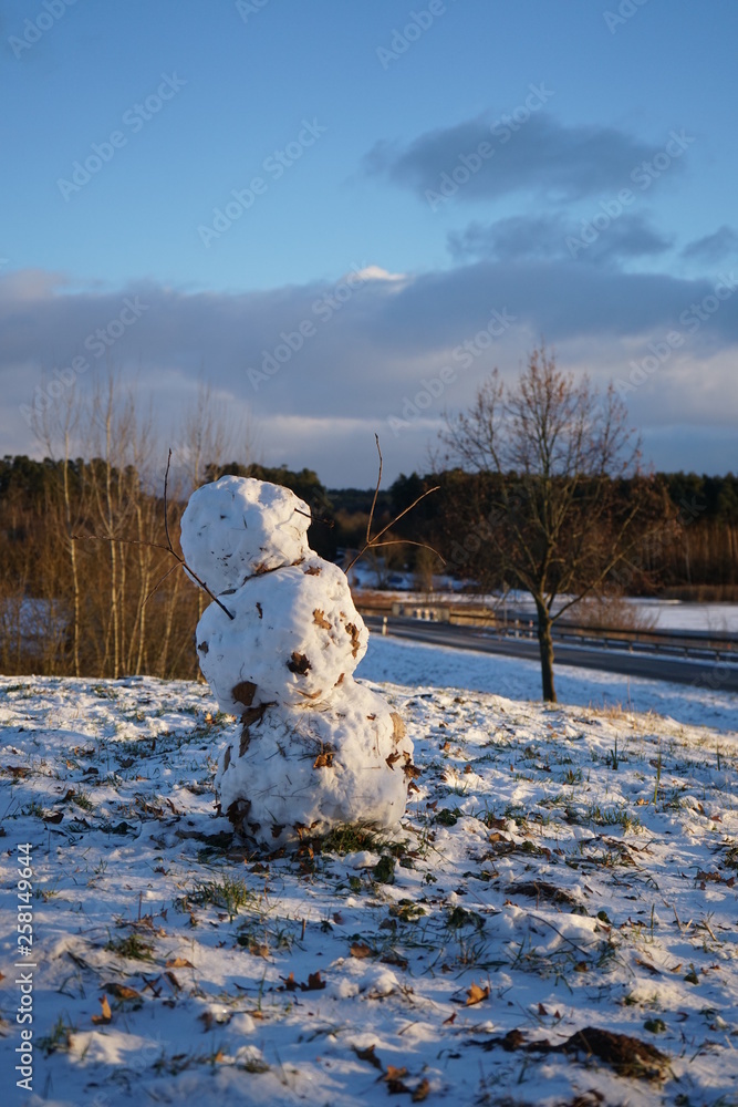 Schneeman mit Blättern und Dreck im Schnee