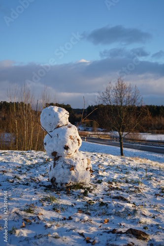 Obraz na płótnie Schneeman mit Blättern und Dreck im Schnee w salonie