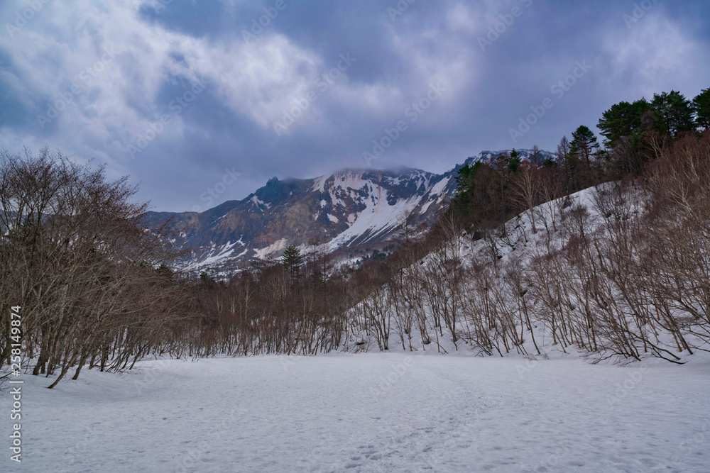 裏磐梯　雪景色