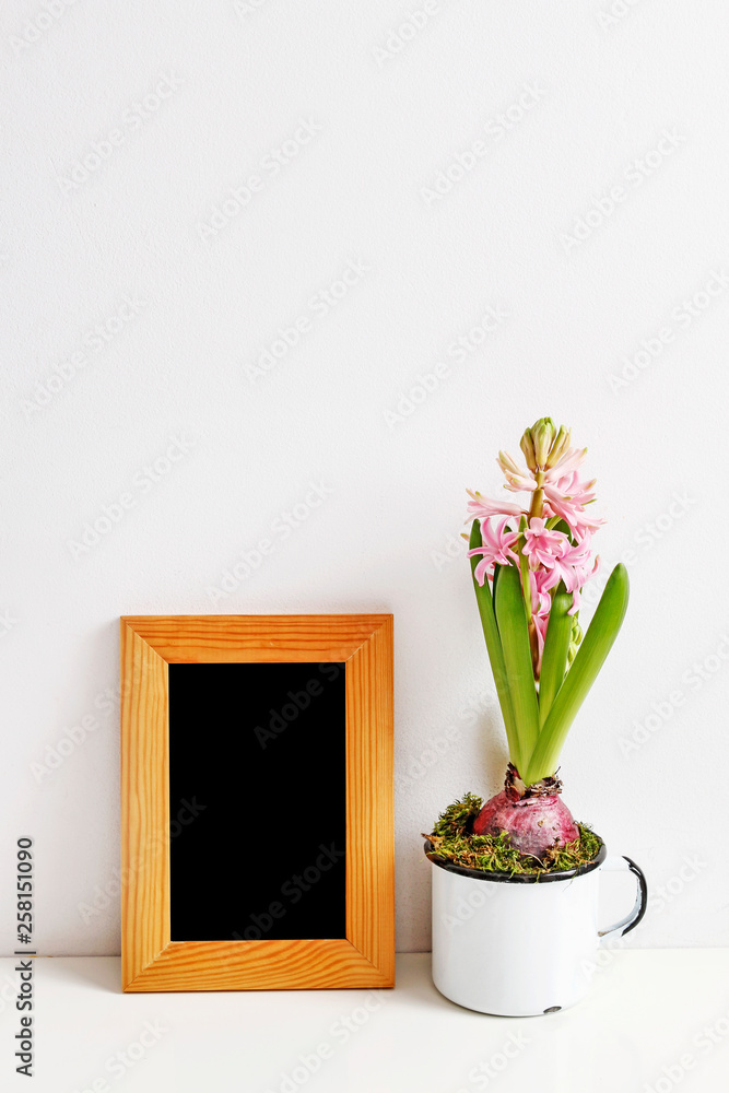 Pink hyacinth flowers. Pink hyacinth flowers.