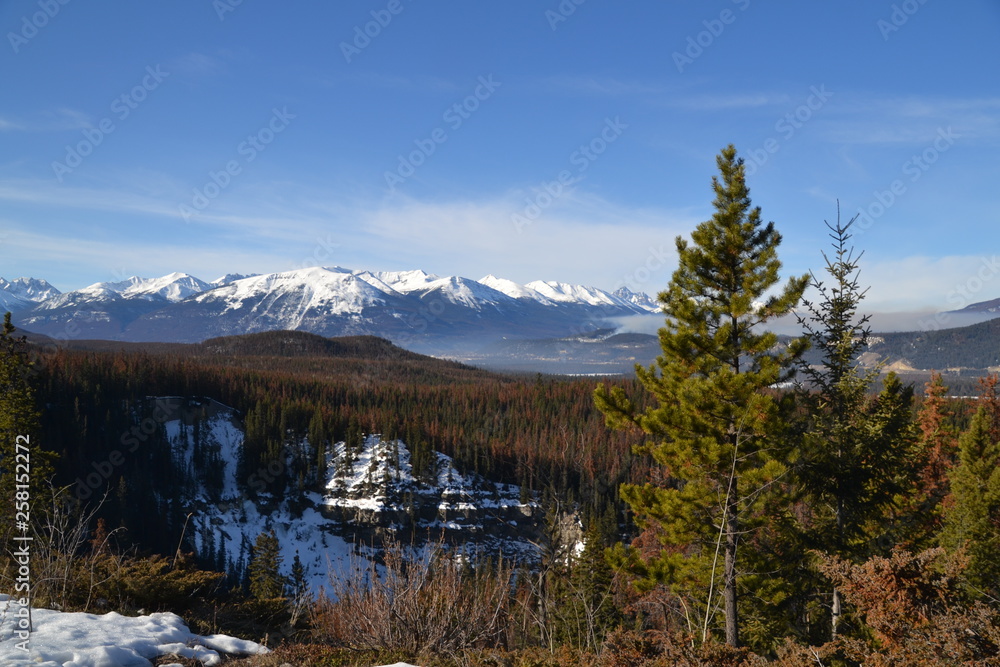 Maligne Lookout in Winter