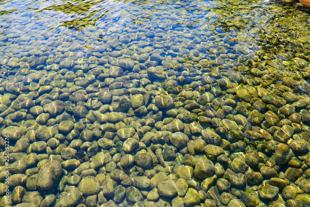 Beautiful pond with stones and plants