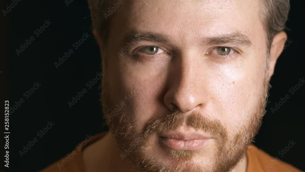 Portrait of handsome bearded man looking at the camera, close-up Portrait of handsome bearded man looking at the camera, close-up