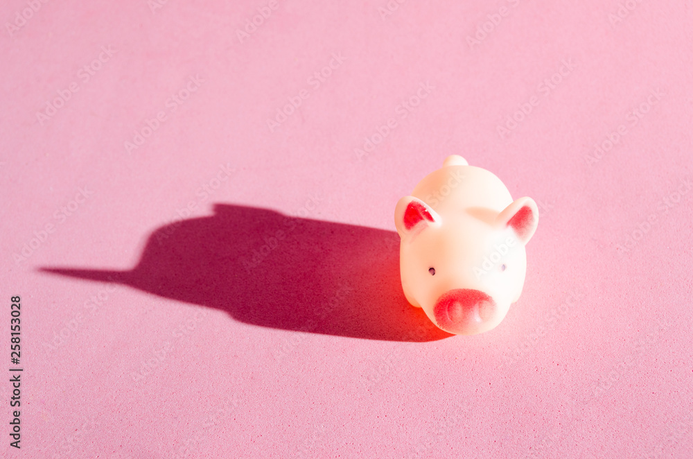 Pink, rubber pig on a pink background, sunbathing in the bright sun. Sunbath. Pink, rubber pig on a pink background, sunbathing in the bright sun. Sunbath.