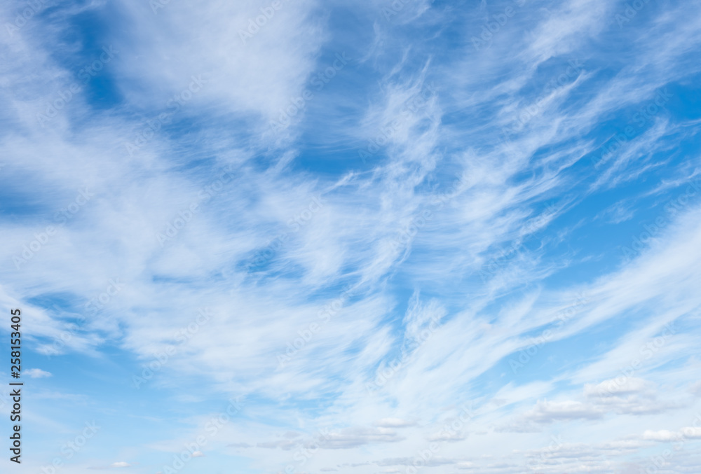 light fluffy clouds on a bright blue sky light fluffy clouds on a bright blue sky