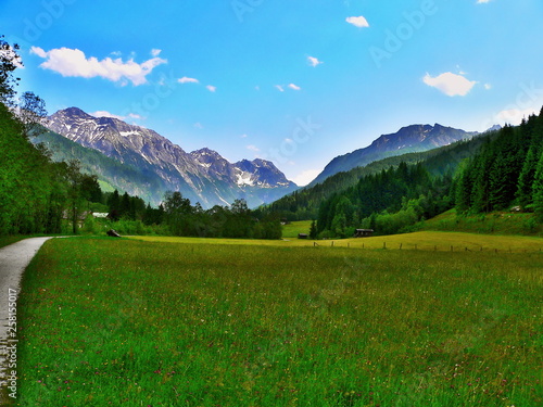 Austria,Alps-view on the mountain pasture