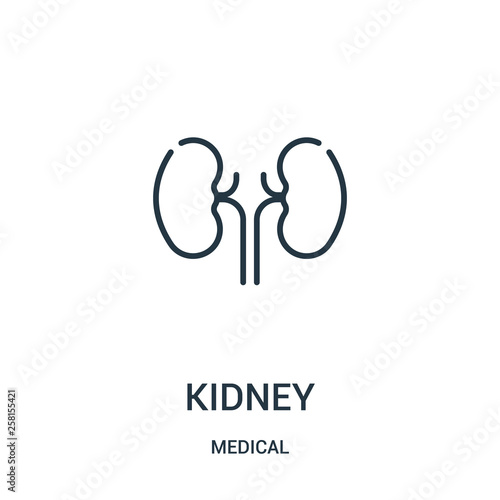 kidney icon vector from medical collection. Thin line kidney outline icon vector illustration.