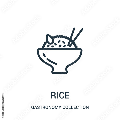 rice icon vector from gastronomy collection collection. Thin line rice outline icon vector illustration.