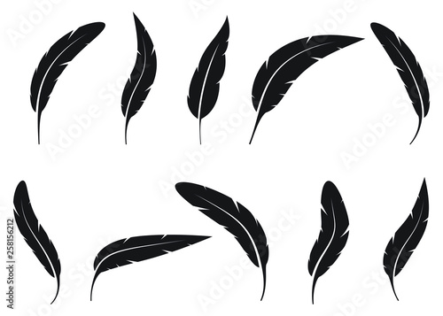 Set of bird feathers vector design illustration