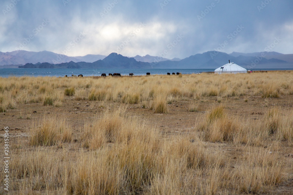 landscape of Western Mongolia