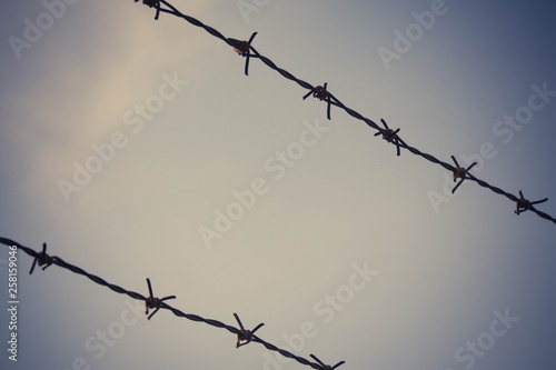 Barbed wire. A sharp and dangerous fence.