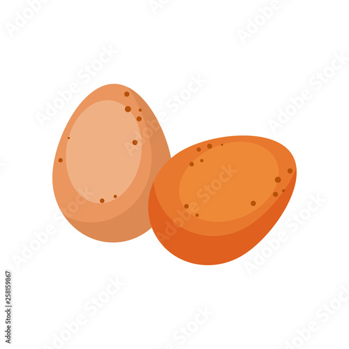 Two eggs illustration. Eating, morning, breakfast. Food concept. Vector illustration can be used for topics like supermarket, natural food, farm