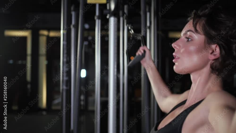 trainer doing exercises on his hands trainer doing exercises on his hands