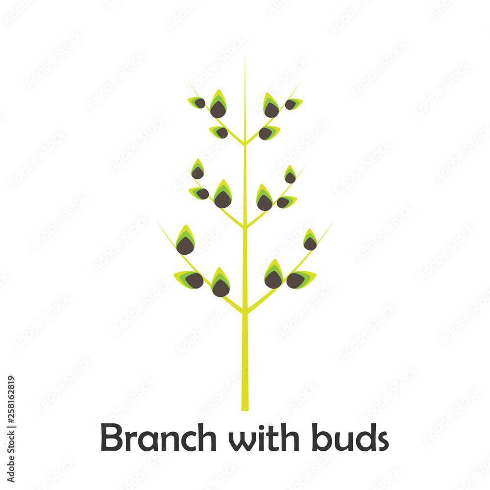 Branch with buds in cartoon style, spring card for kid, preschool activity for children, vector illustration