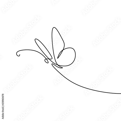 Photography picture of a continuous line of minimalist butterfly animals.