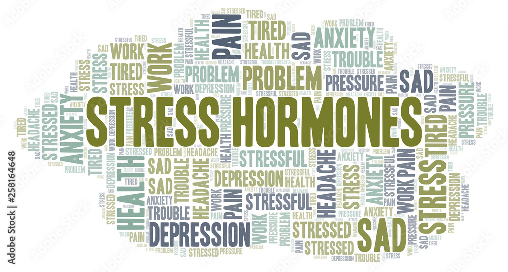 Obraz premium Stress Hormones word cloud.