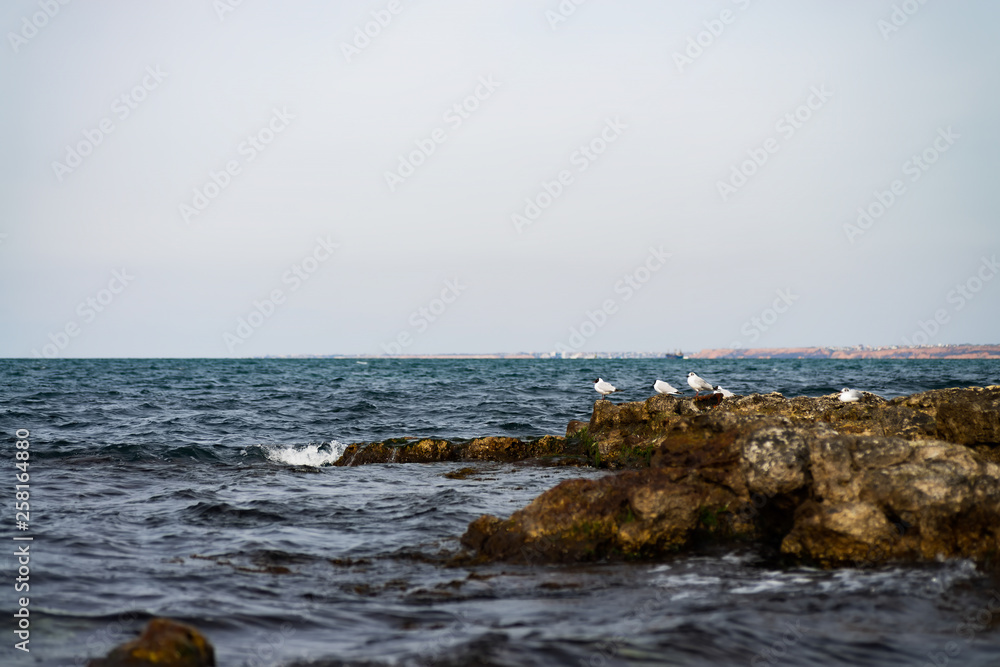 stones and rocks on the sea coast