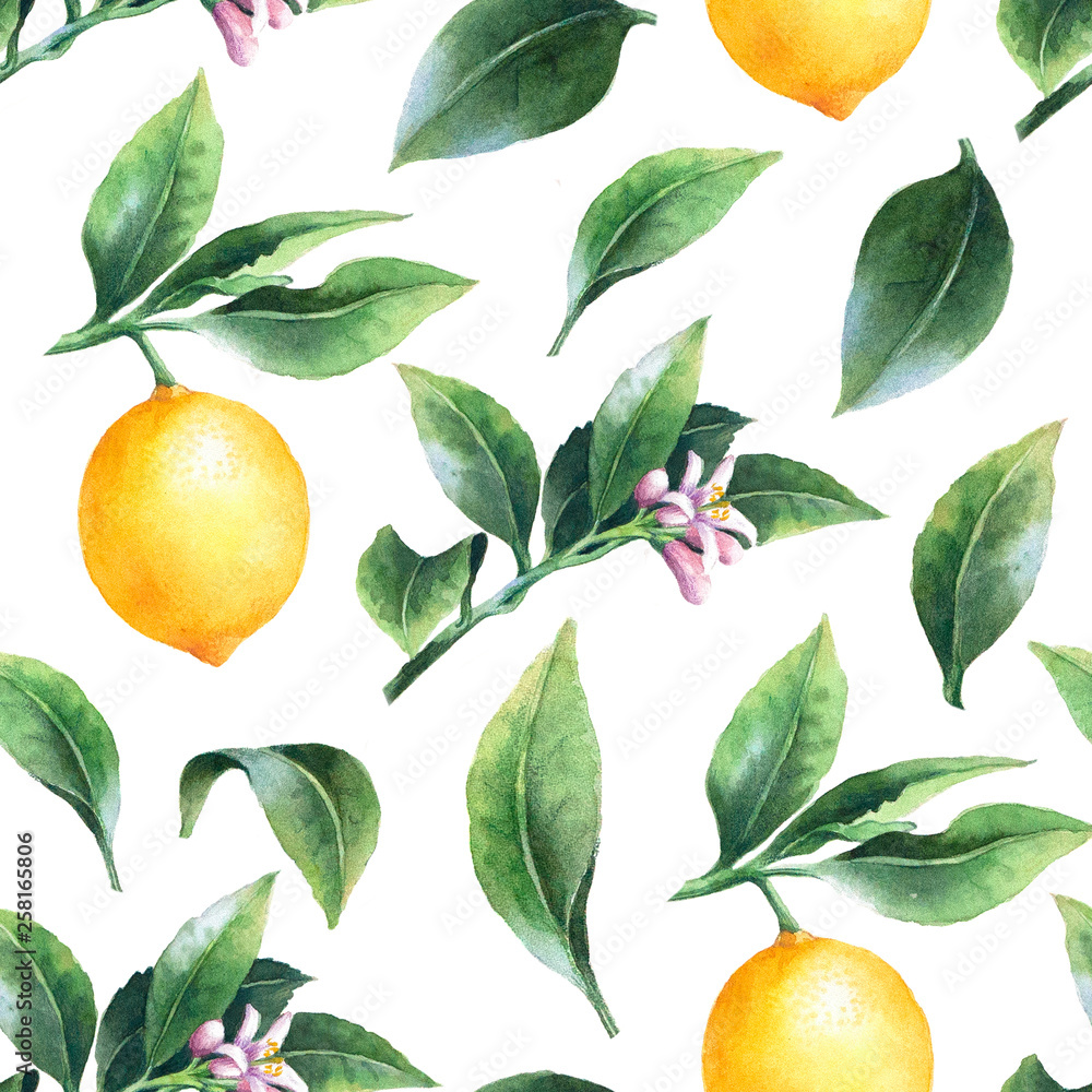Lemon on a branch seamless background. Watercolor pattern of citrus leaves, fruit and blossoms.