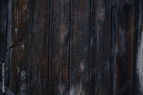 Old wooden wall texture with natural patterns