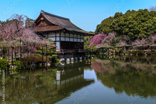 Beautiful spring landscape with cherry blossoms over the pond in the garden of the Heian Shrine in Kyoto, Japan.