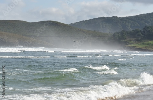 Vagues, écume, montagne, et goéland, c'est la magie de la côte atlantique en Galice, Espagne