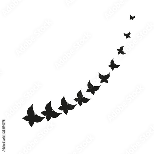 butterflies vector design