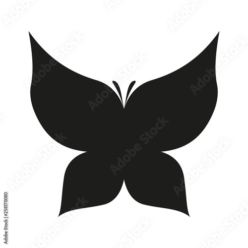Butterfly icon vector