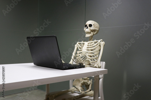 esqueleto en oficina trabajando y muerto de aburrimiento photo